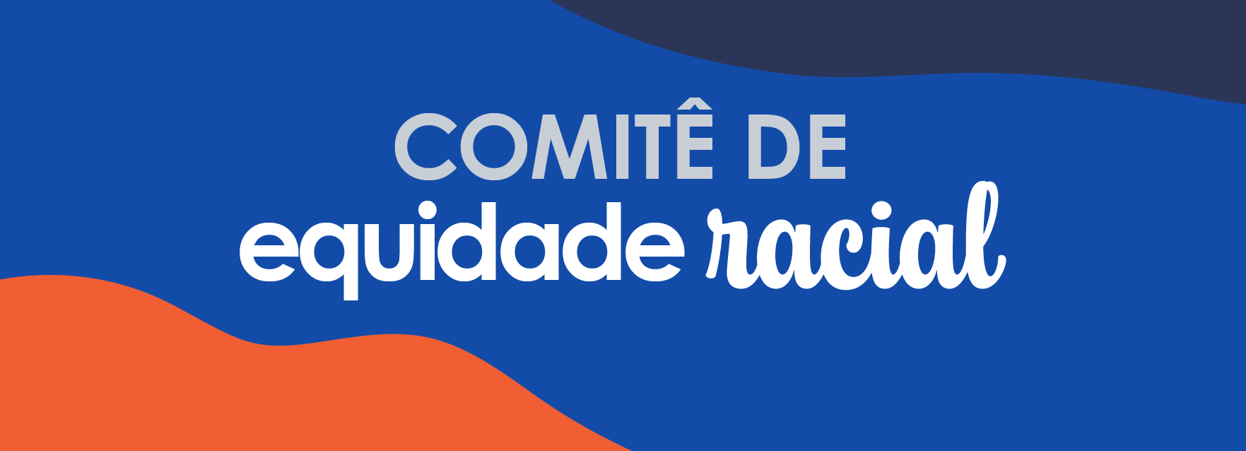 Comitê pela equidade racial e combate ao racismo
